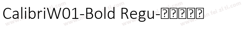 CalibriW01-Bold Regu字体转换